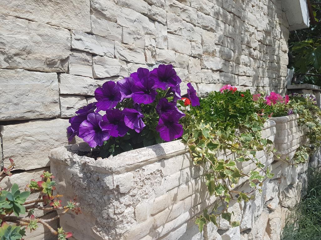 Apartment Adis Šibenik Esterno foto
